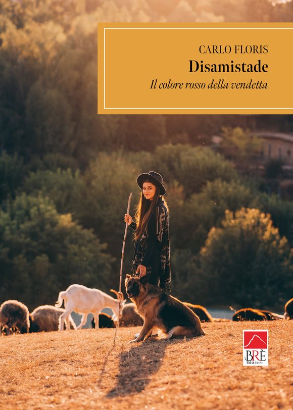 DISAMISTADE
