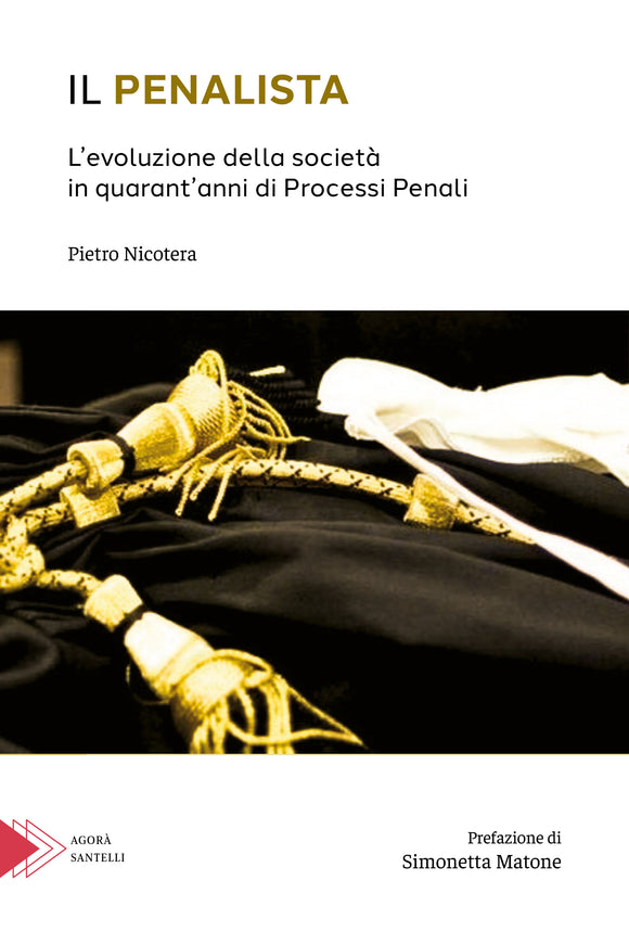 Il penalista