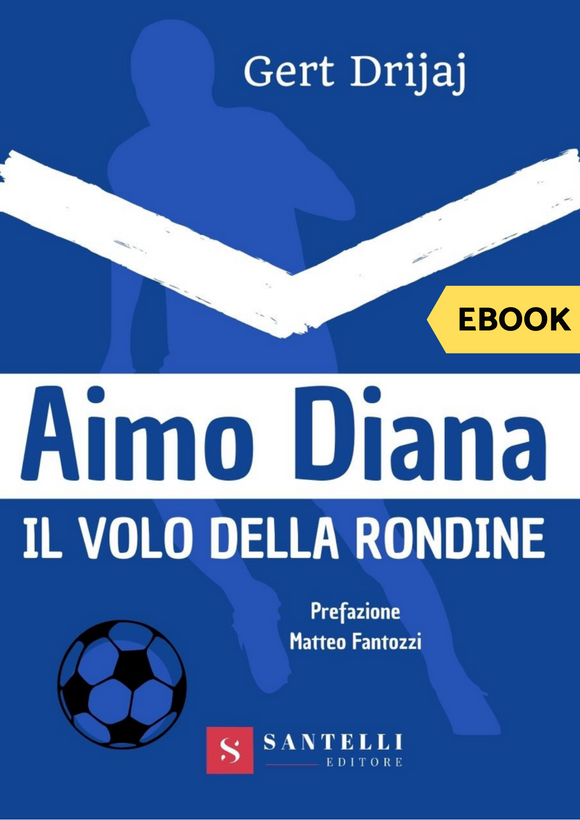 Aimo Diana - Il volo della rondine (eBook)