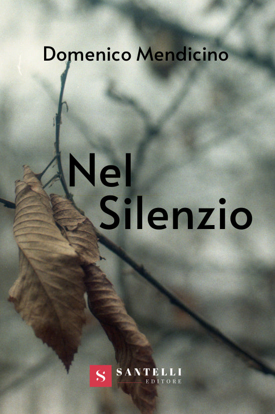 Nel silenzio - Santelli Online